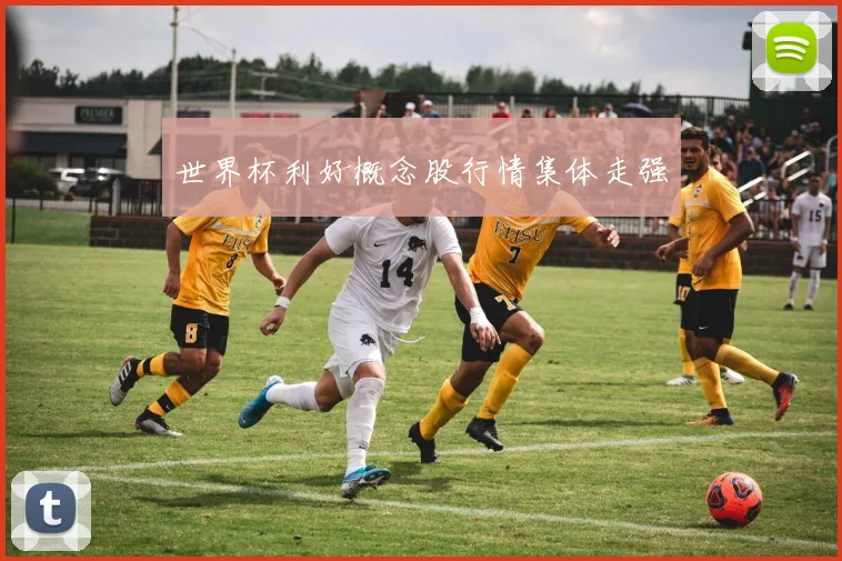 世界杯利好概念股行情集体走强