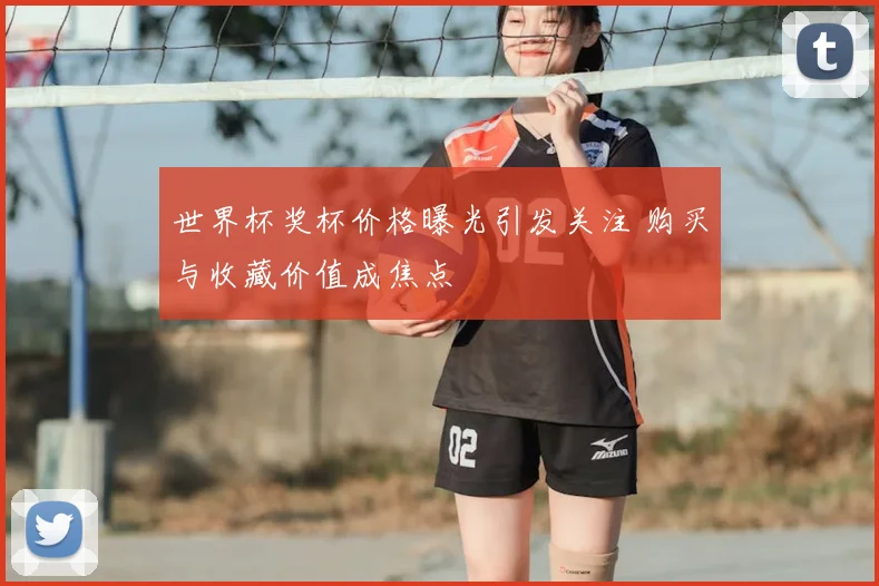 世界杯奖杯价格曝光引发关注 购买与收藏价值成焦点