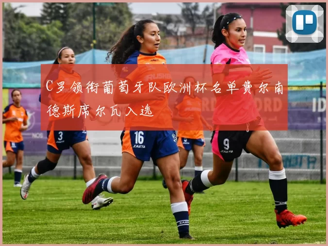 C罗领衔葡萄牙队欧洲杯名单费尔南德斯席尔瓦入选