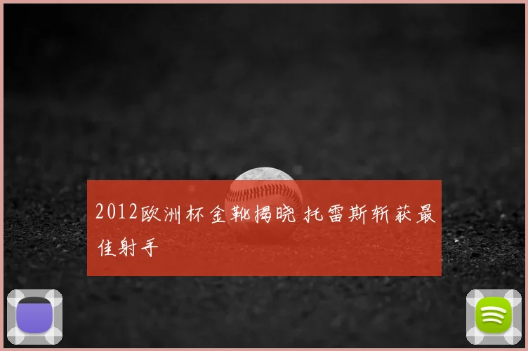 2012欧洲杯金靴揭晓 托雷斯斩获最佳射手
