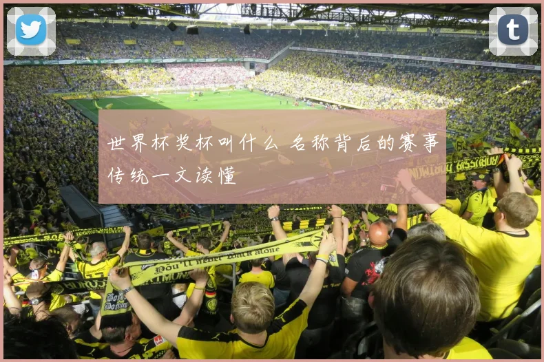 世界杯奖杯叫什么 名称背后的赛事传统一文读懂