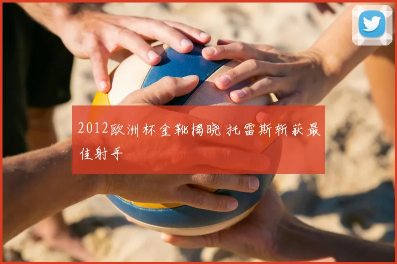 2012欧洲杯金靴揭晓 托雷斯斩获最佳射手