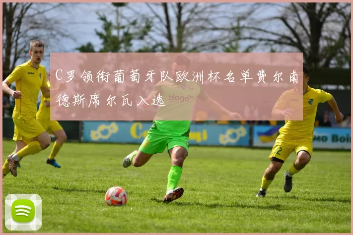 C罗领衔葡萄牙队欧洲杯名单费尔南德斯席尔瓦入选